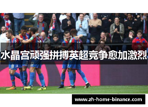 水晶宫顽强拼搏英超竞争愈加激烈